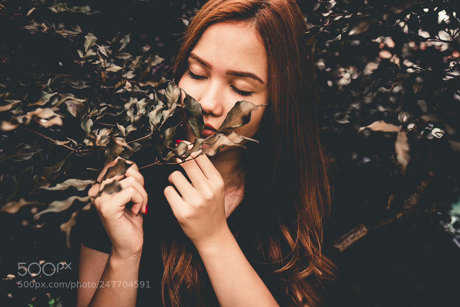 Nikon D610 sample photo. Untitled photography