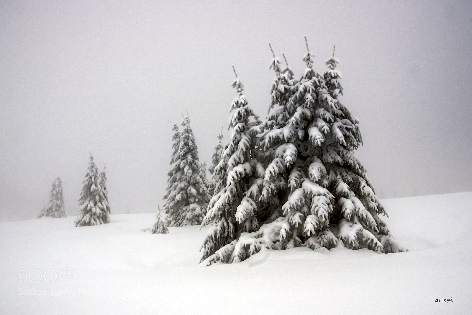 Pentax K-3 sample photo. Foggy winter photography