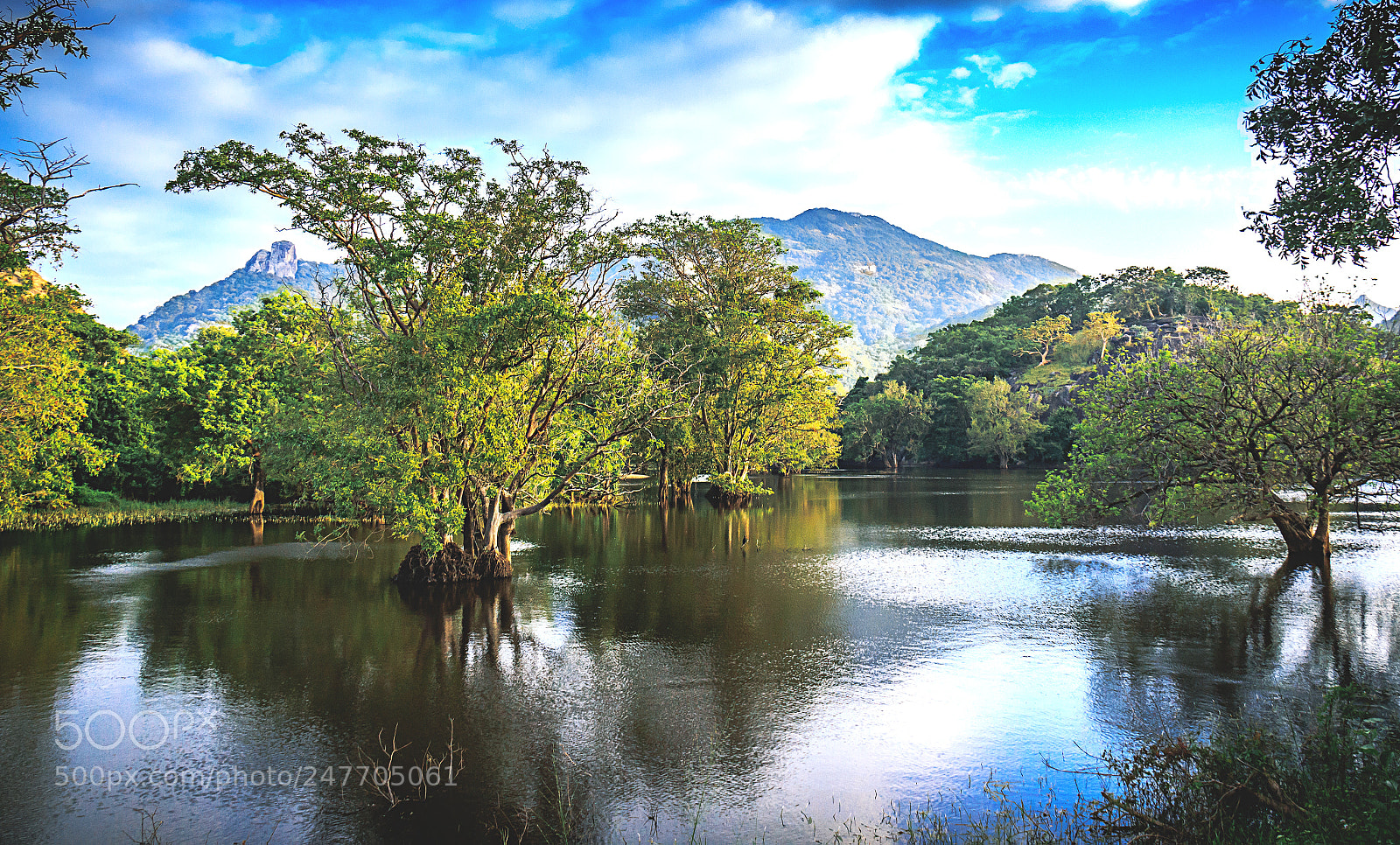 Canon EOS 600D (Rebel EOS T3i / EOS Kiss X5) sample photo. The kaludiya pokuna forest photography