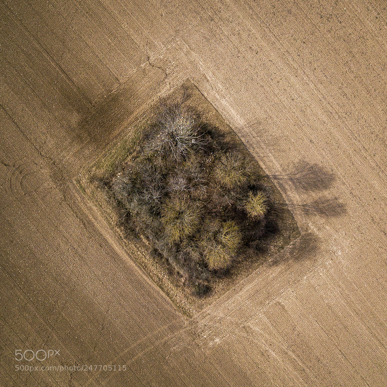 DJI FC220 sample photo. Parcelle photography