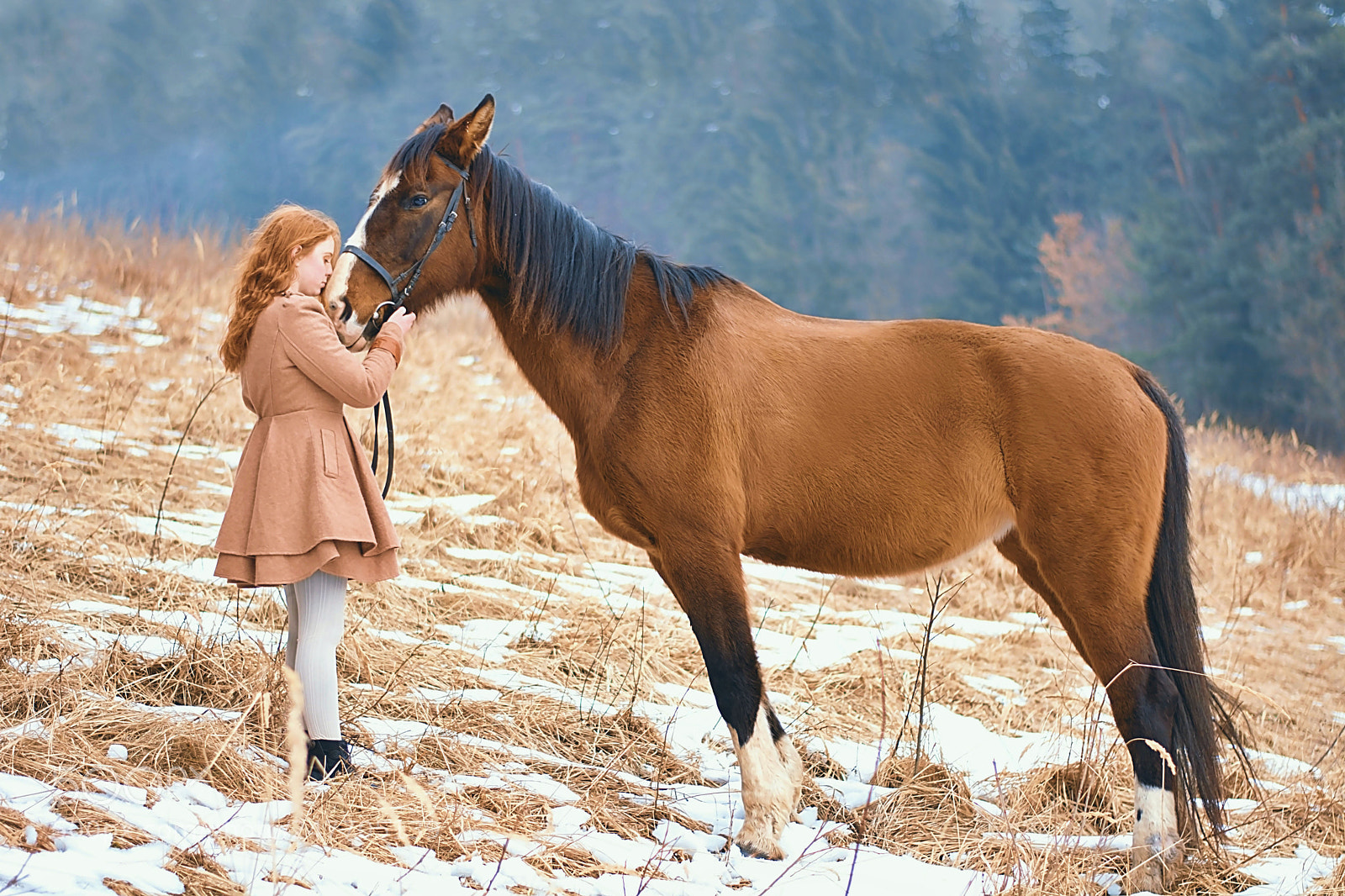 Nikon D7100 sample photo. Woman kissing the horse photography