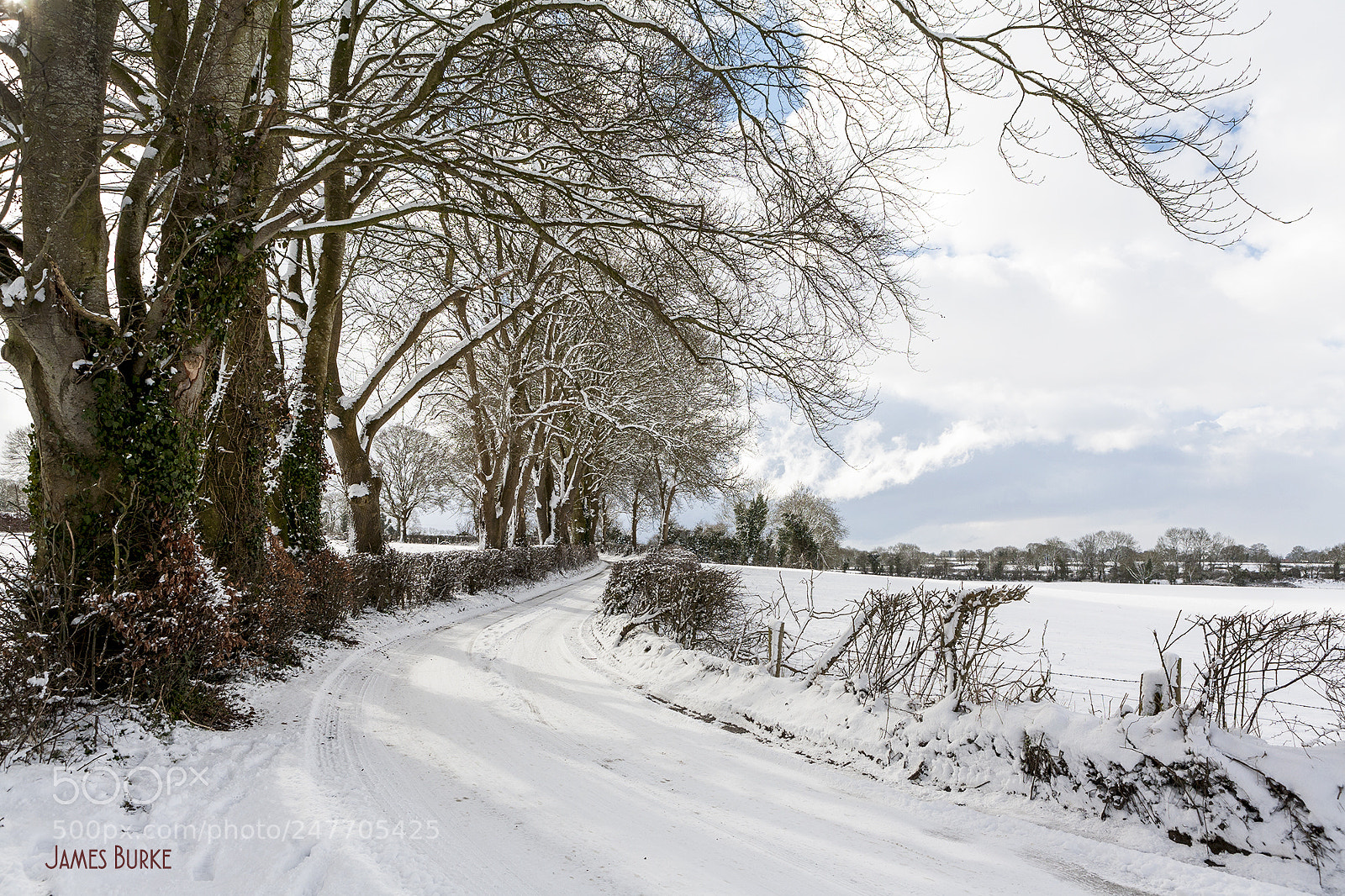 Canon EOS 5D sample photo. Snowy lane photography
