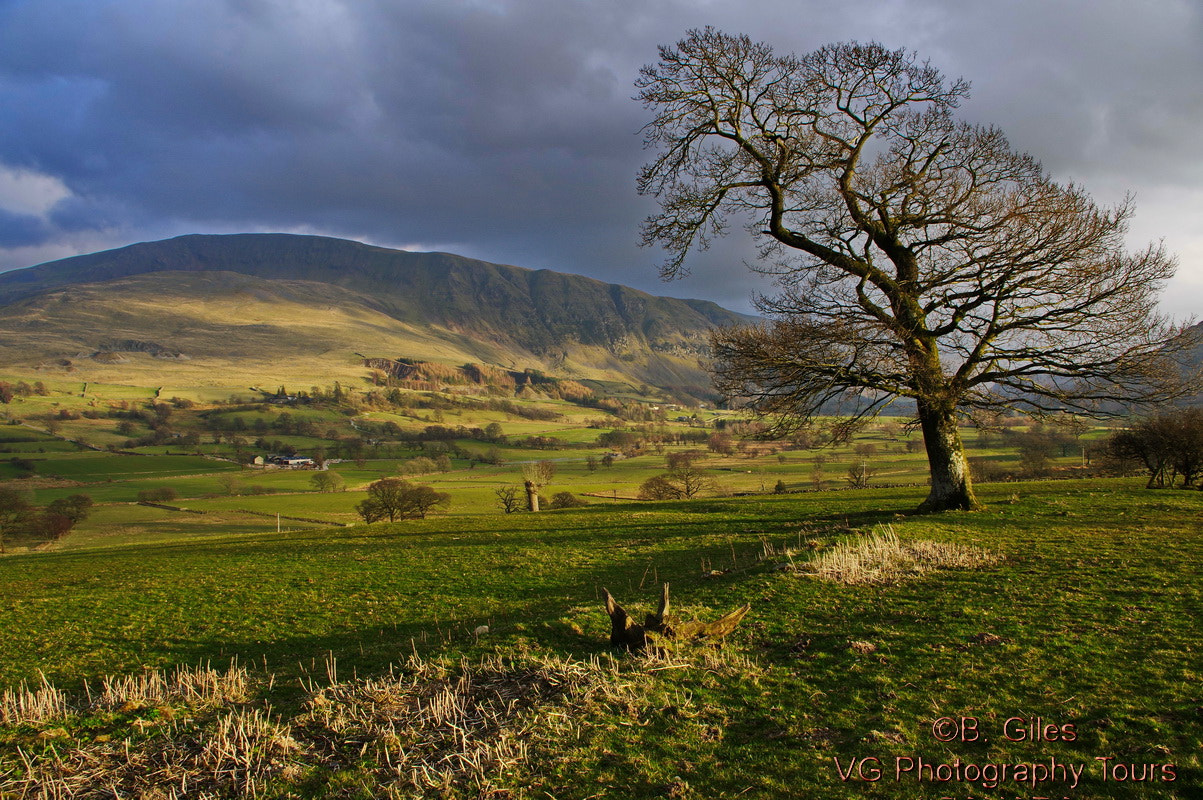 Pentax smc DA 18-55mm F3.5-5.6 AL WR sample photo. Lake district spring photography