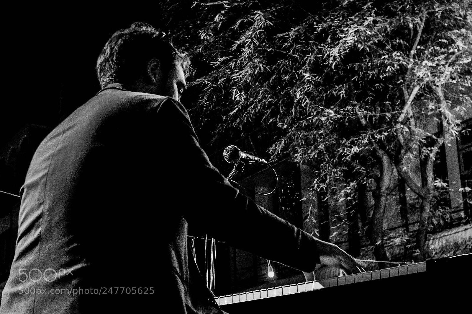 Fujifilm FinePix X100 sample photo. The pianist photography