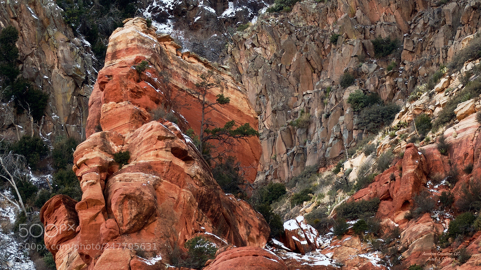 Canon EOS 7D sample photo. Detail wilson mtn. photography