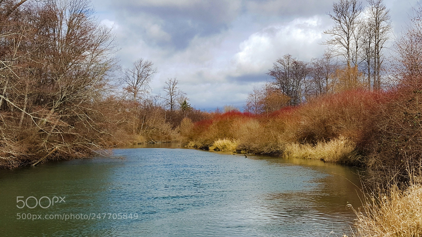 Samsung GALAXY S6 edge sample photo. River's run photography