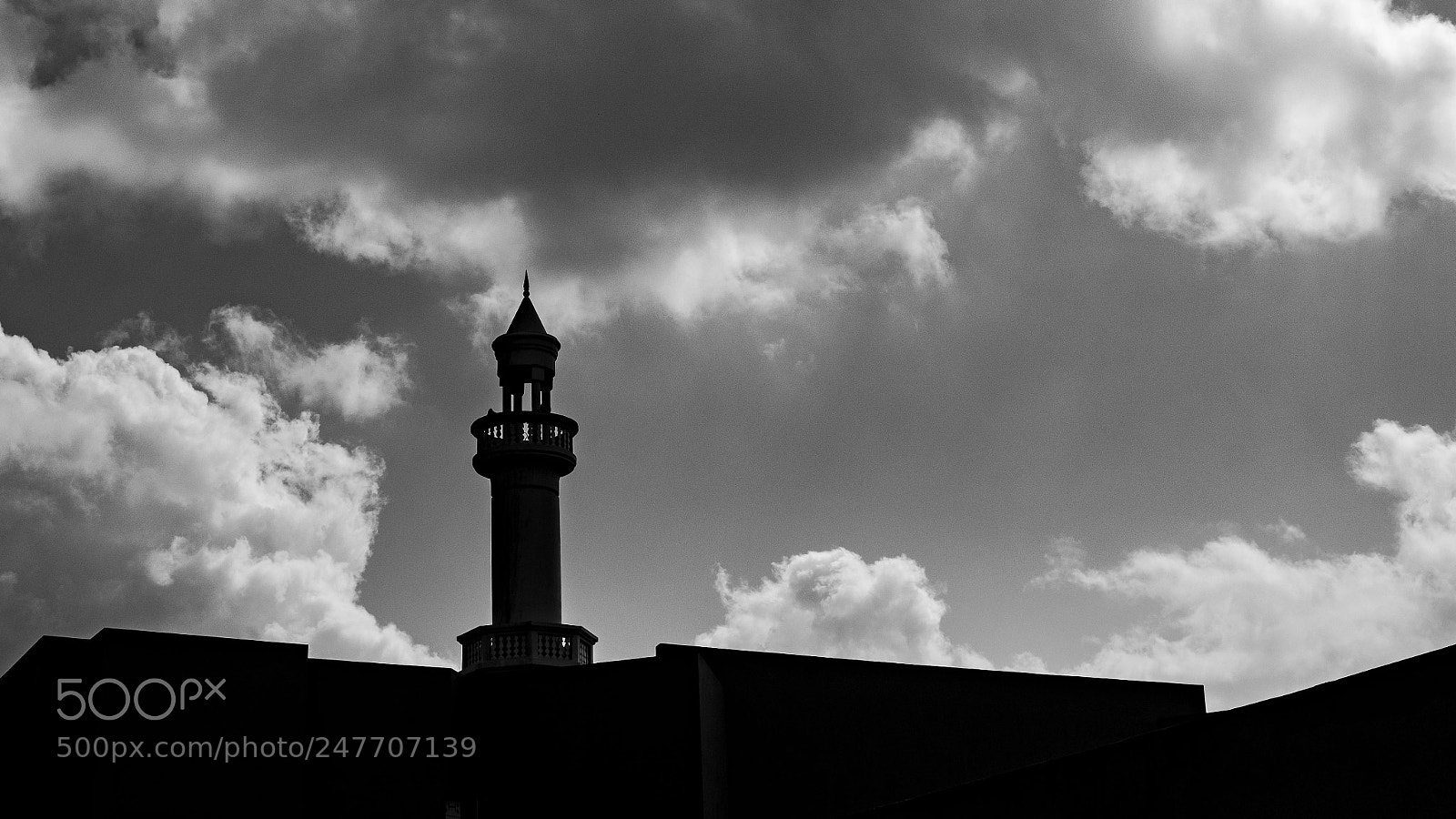 Nikon D500 sample photo. Silhouette in bnw photography
