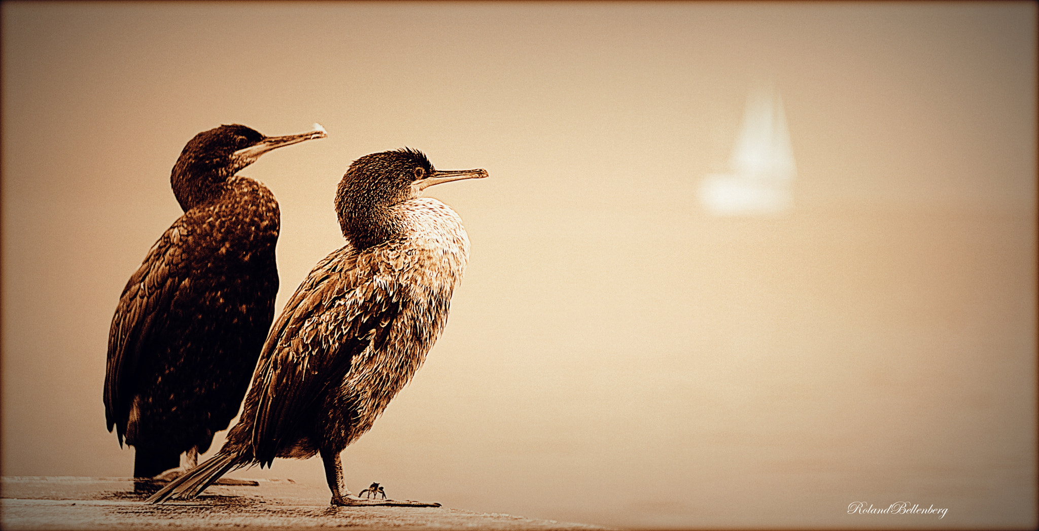 Sony E 55-210mm F4.5-6.3 OSS sample photo. Next time we take the boat! photography