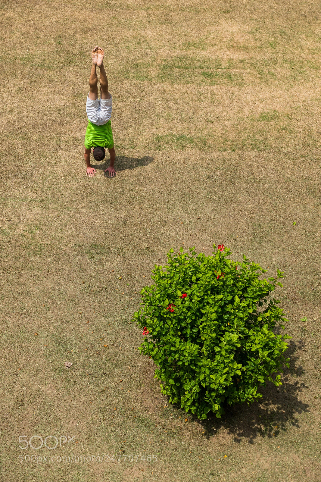 Sony Cyber-shot DSC-RX100 III sample photo. Jhansi handstand photography