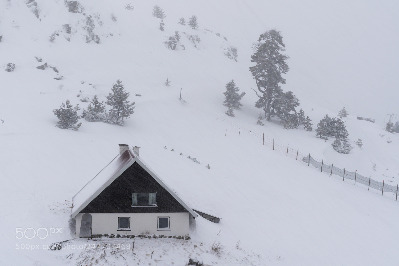 Sony a7R III sample photo. Dsc photography