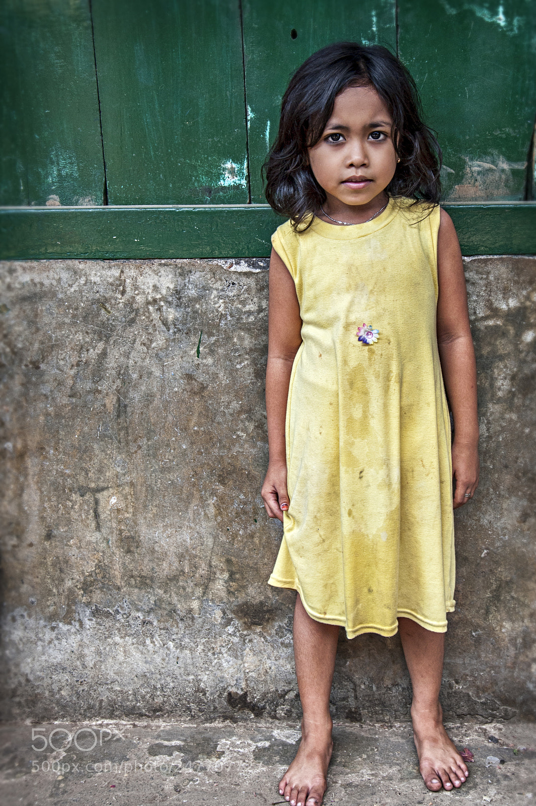 Nikon D700 sample photo. Lemon drop / indonesia photography