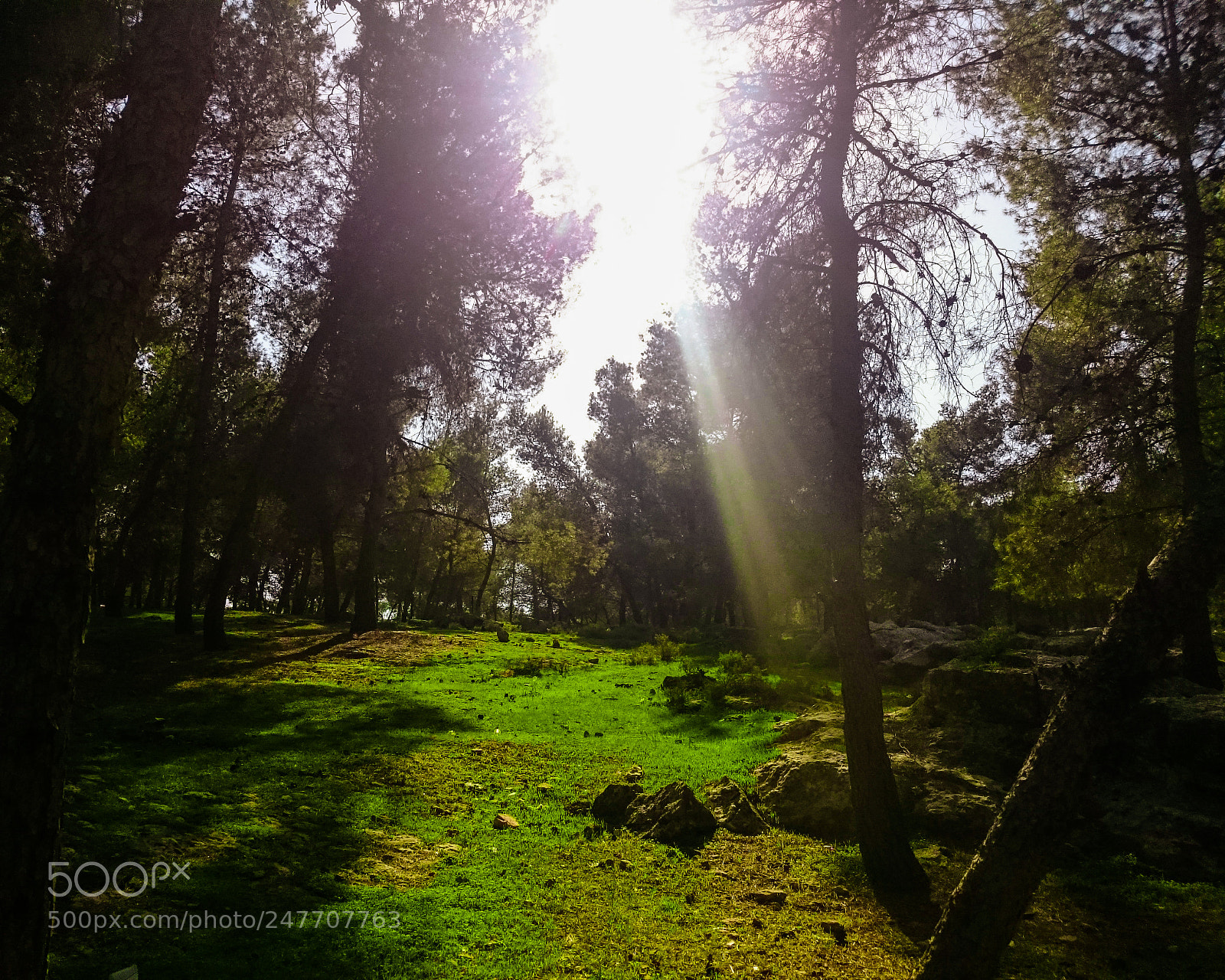 Sony Xperia Z2 sample photo. Dsc photography