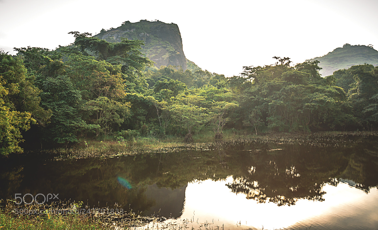Canon EOS 600D (Rebel EOS T3i / EOS Kiss X5) sample photo. Kaludiya pokuna forest, sri photography