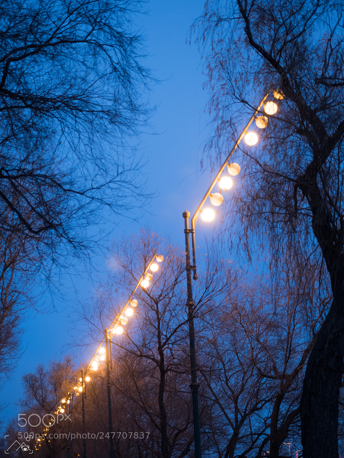 Olympus OM-D E-M5 II sample photo. Night light photography
