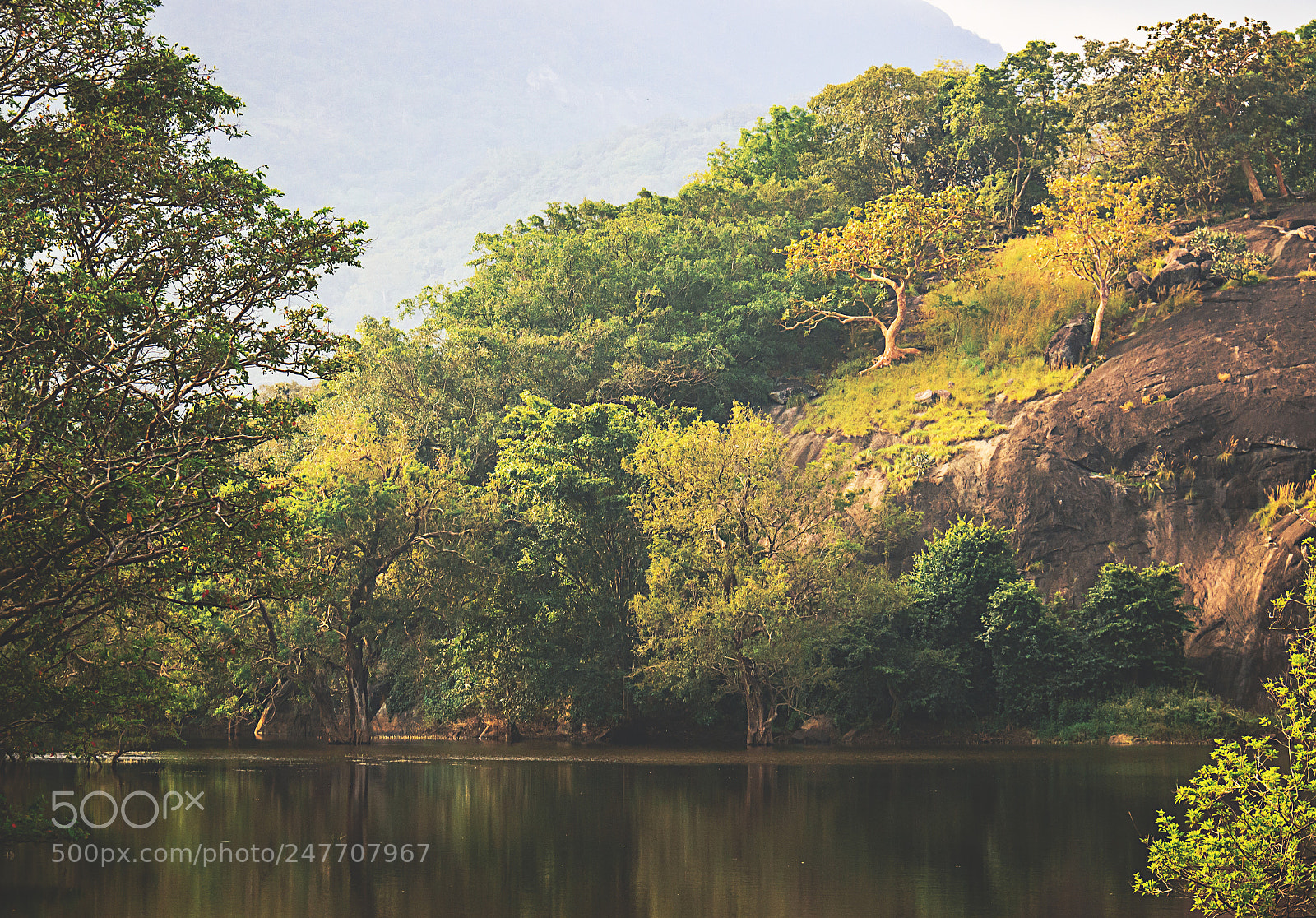 Canon EOS 600D (Rebel EOS T3i / EOS Kiss X5) sample photo. Kaludiya pokuna forest, sri photography