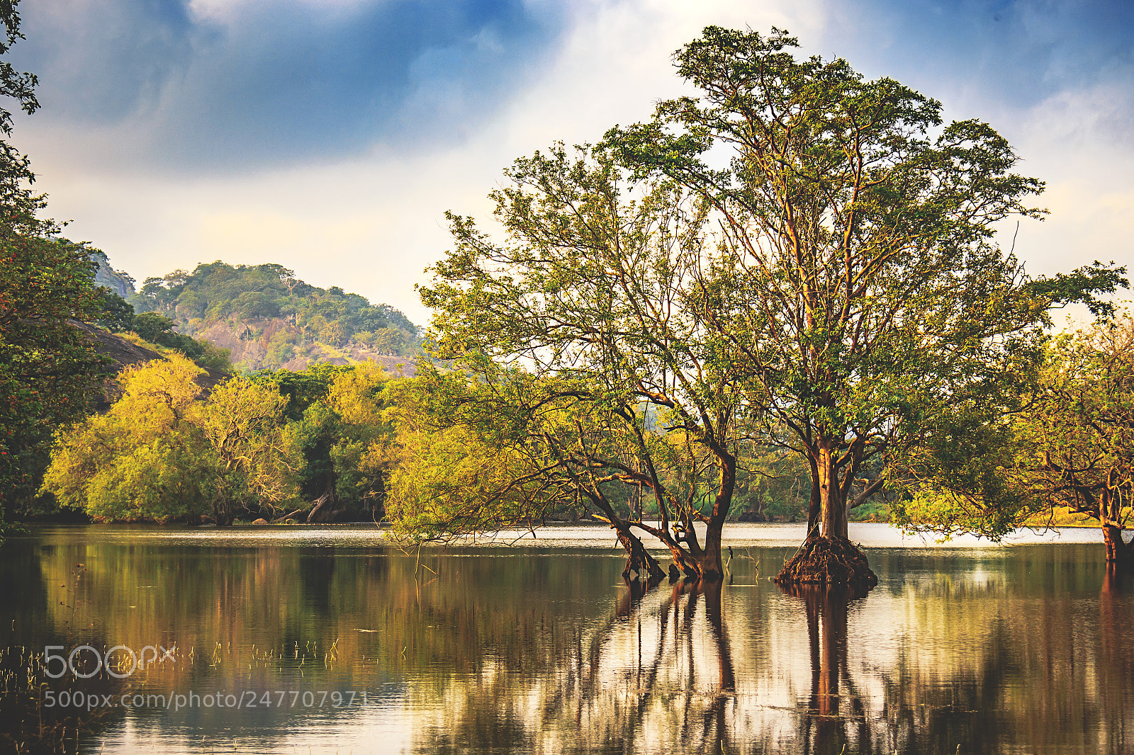 Canon EOS 600D (Rebel EOS T3i / EOS Kiss X5) sample photo. Kaludiya pokuna forest, sri photography