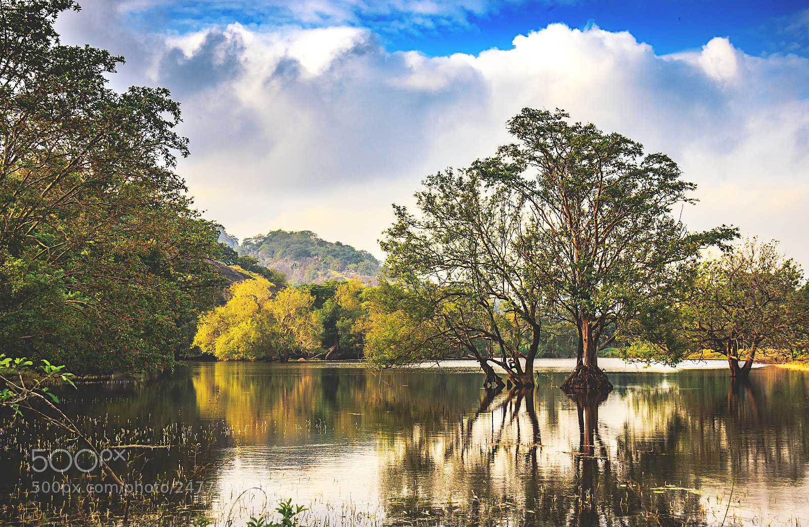 Canon EOS 600D (Rebel EOS T3i / EOS Kiss X5) sample photo. Kaludiya pokuna forest, sri photography