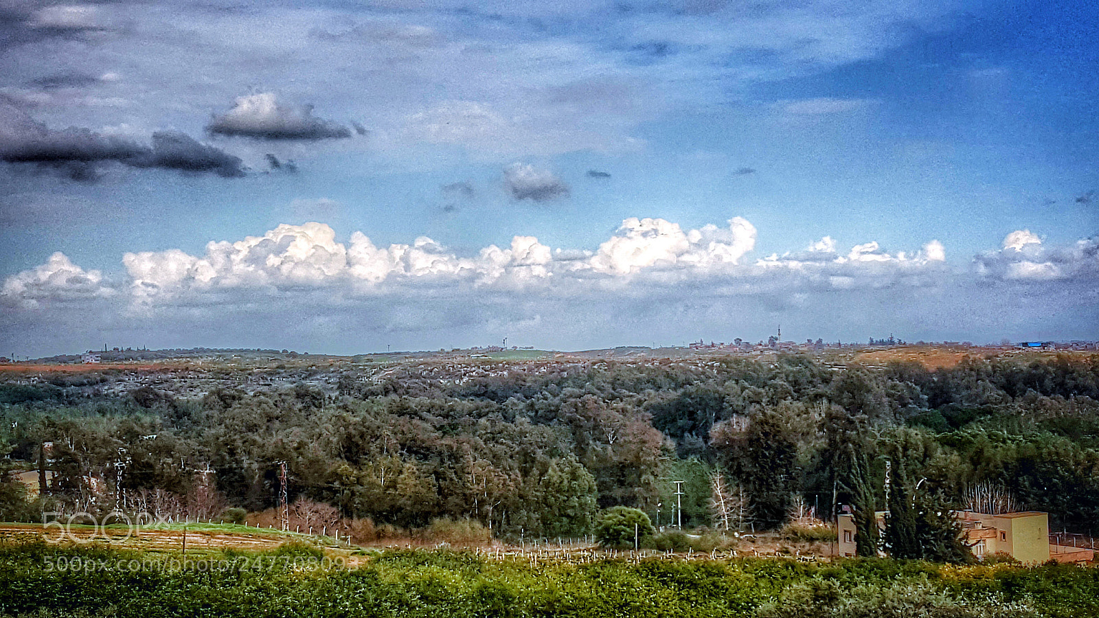 Samsung Galaxy Note5 sample photo. Untitled photography