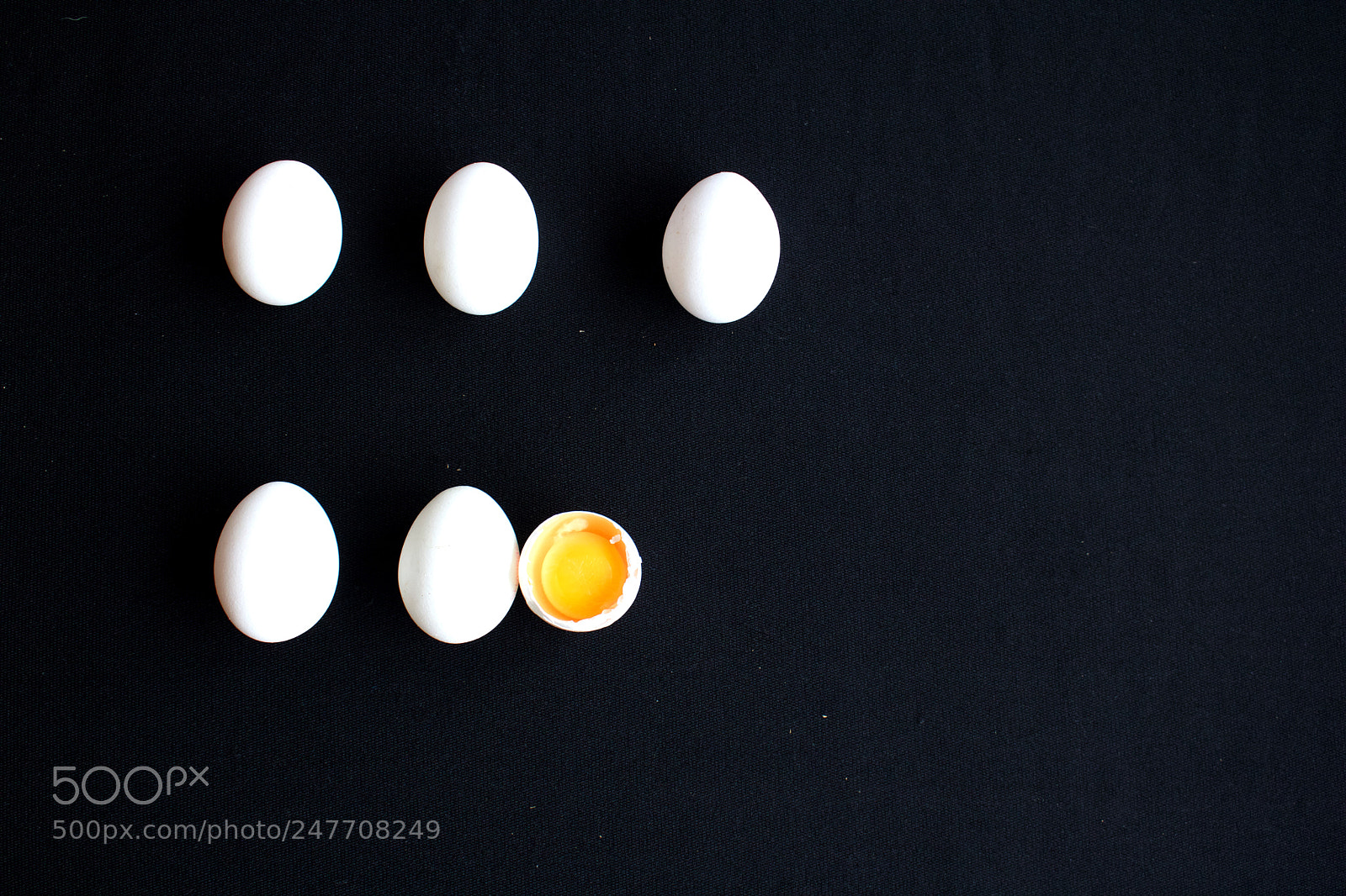Canon EOS 750D (EOS Rebel T6i / EOS Kiss X8i) sample photo. Organic eggs photography