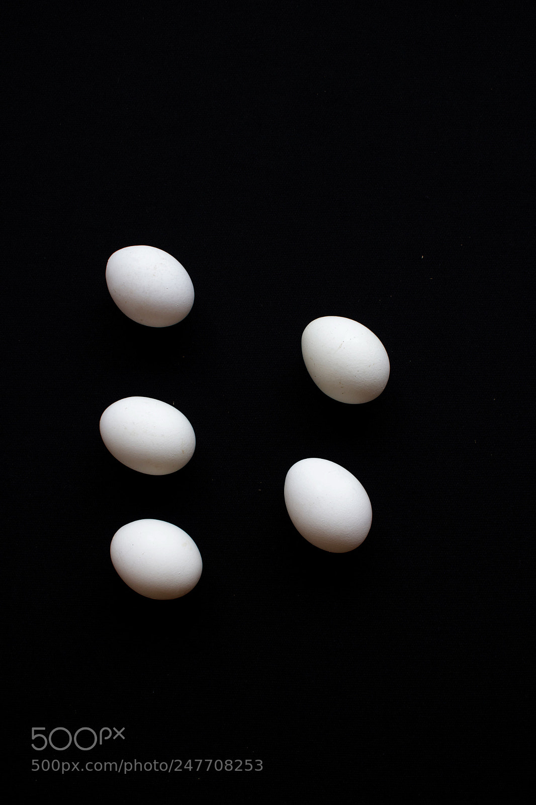 Canon EOS 750D (EOS Rebel T6i / EOS Kiss X8i) sample photo. Organic eggs photography