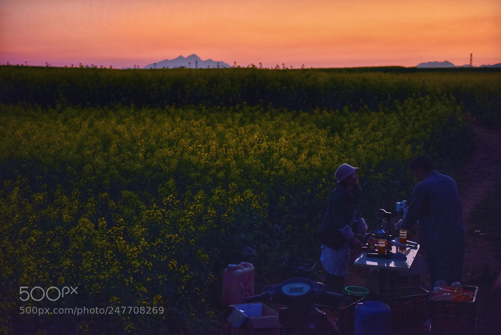 Nikon D810 sample photo. Untitled photography