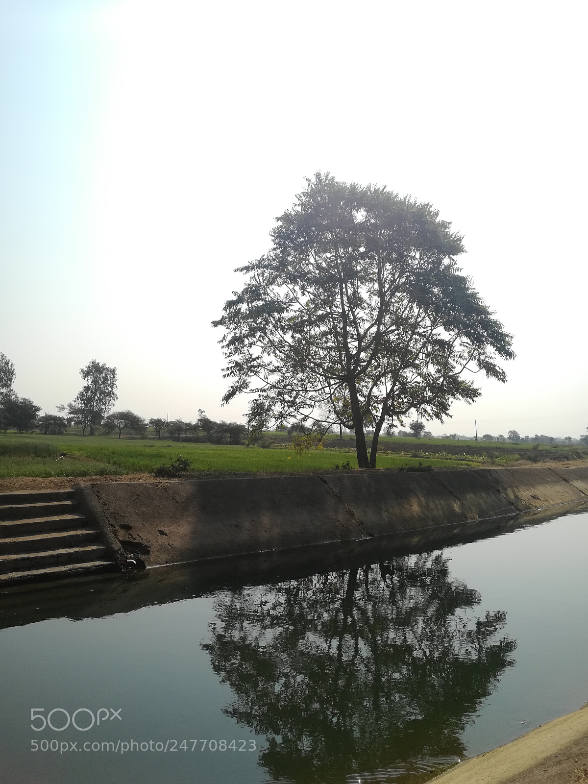 HUAWEI honor 6x sample photo. Dav photography