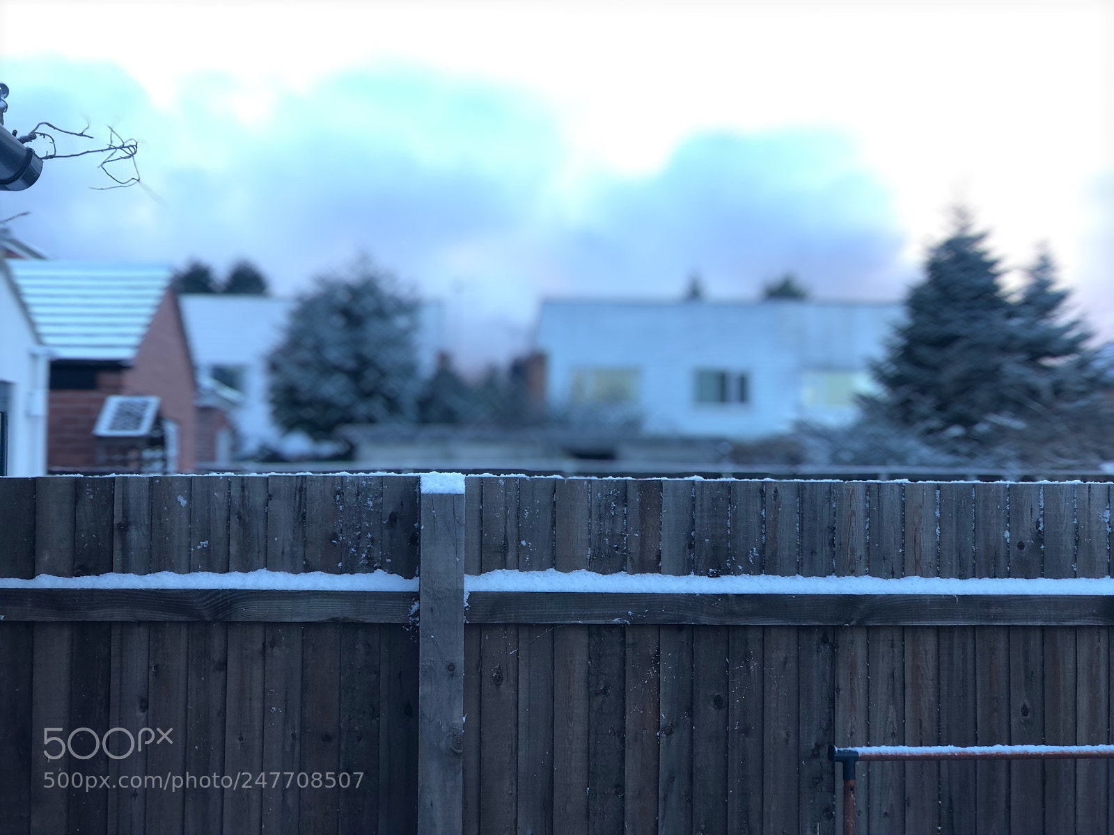 Apple iPhone 8 Plus sample photo. Untitled photography