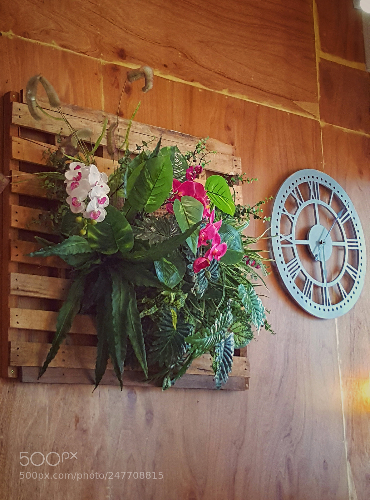 Samsung Galaxy Note5 sample photo. Untitled photography