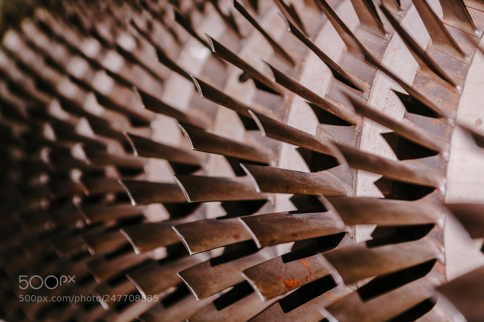 Sony a7R II sample photo. Exhibits of the world photography