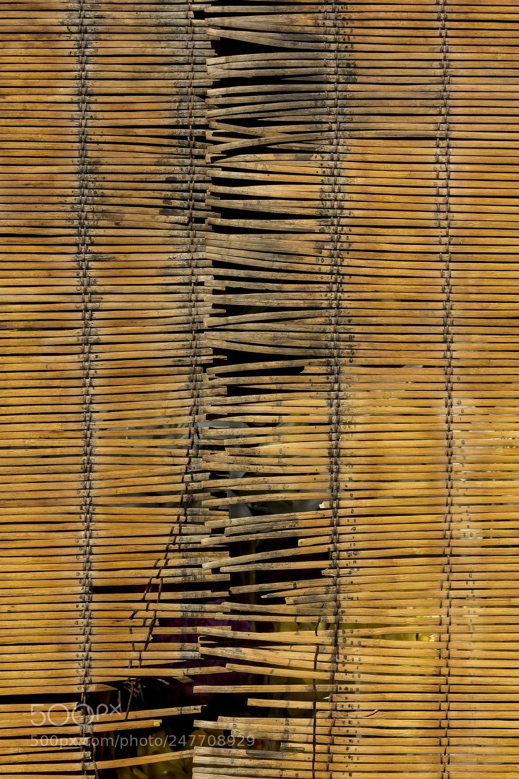 Canon EOS 60D sample photo. Wooden screen photography