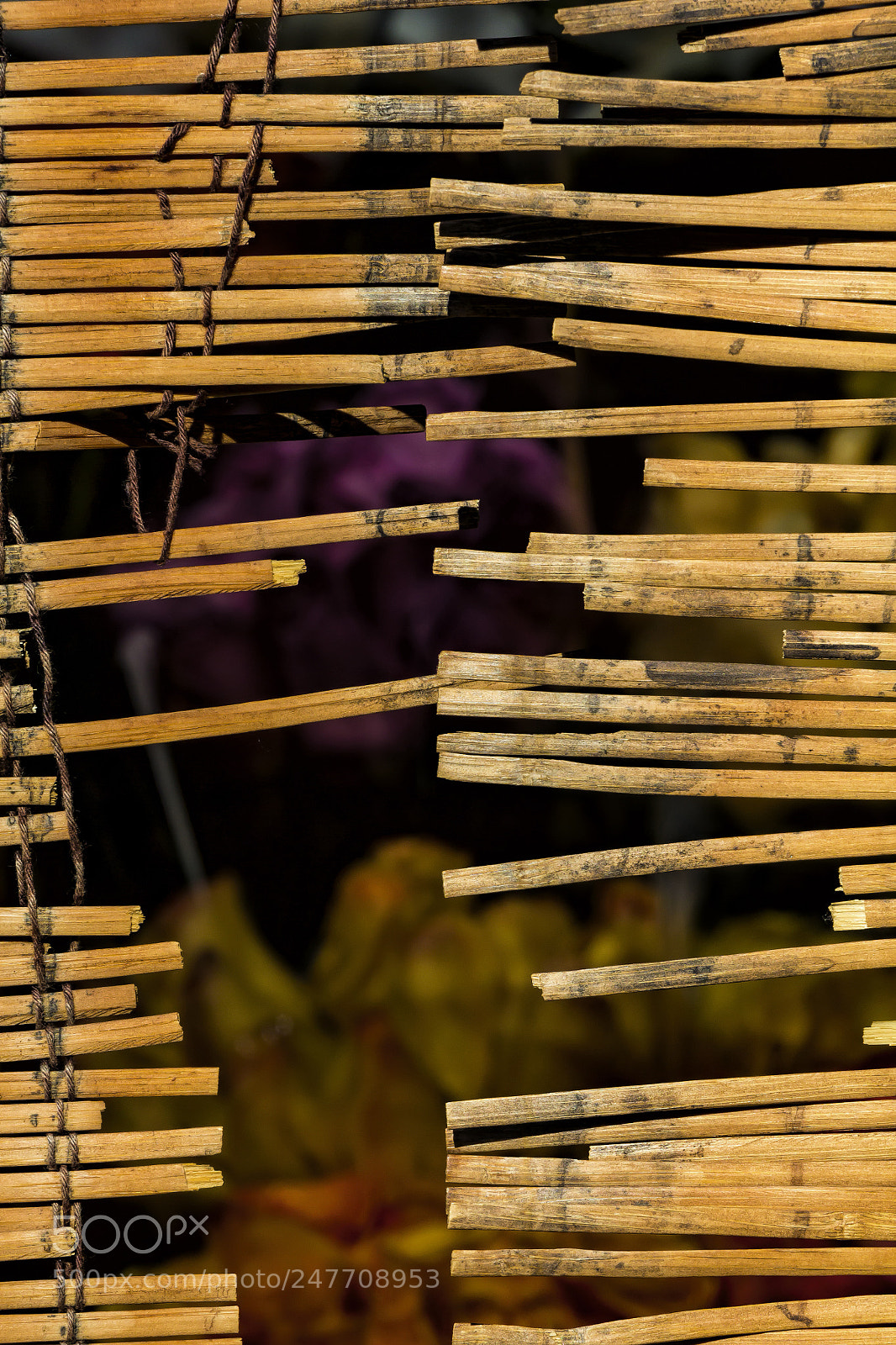 Canon EOS 60D sample photo. Wooden screen and flowers photography