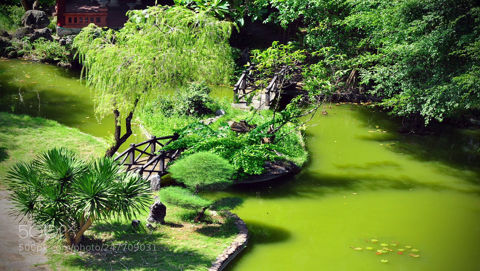 Nikon D90 sample photo. Green garden photography