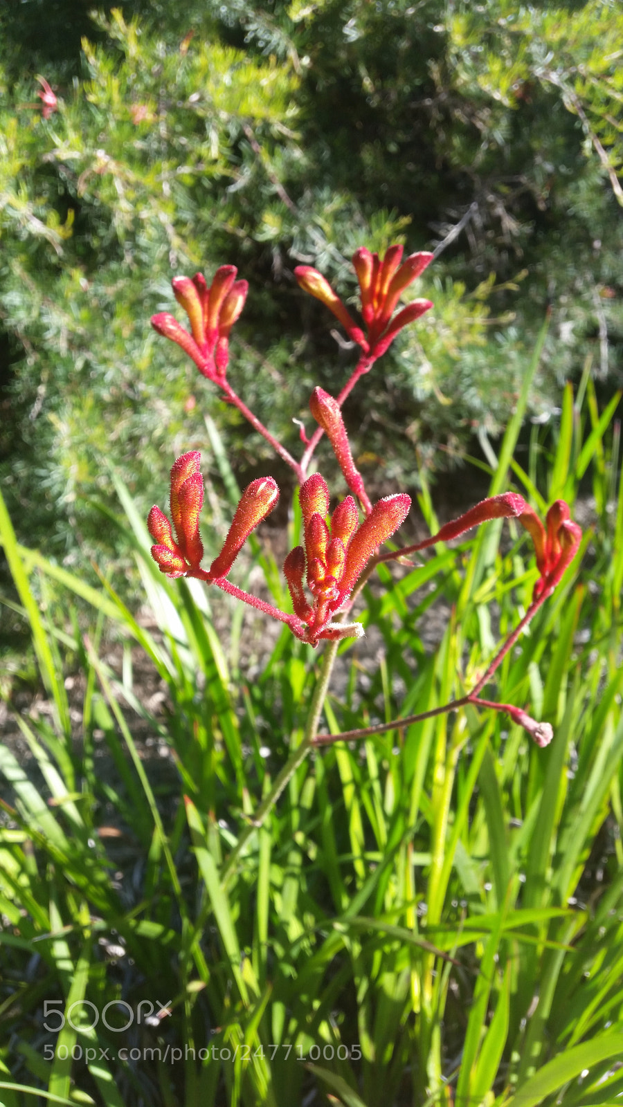 Samsung Galaxy S5 sample photo. 20150822_155716.jpg photography