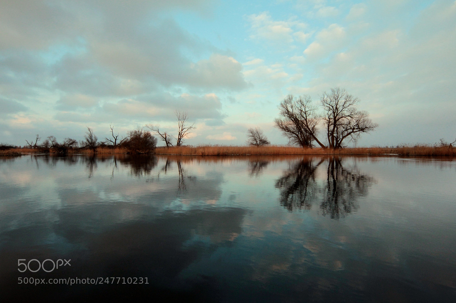 Canon EOS-1D Mark IV sample photo. Untitled photography