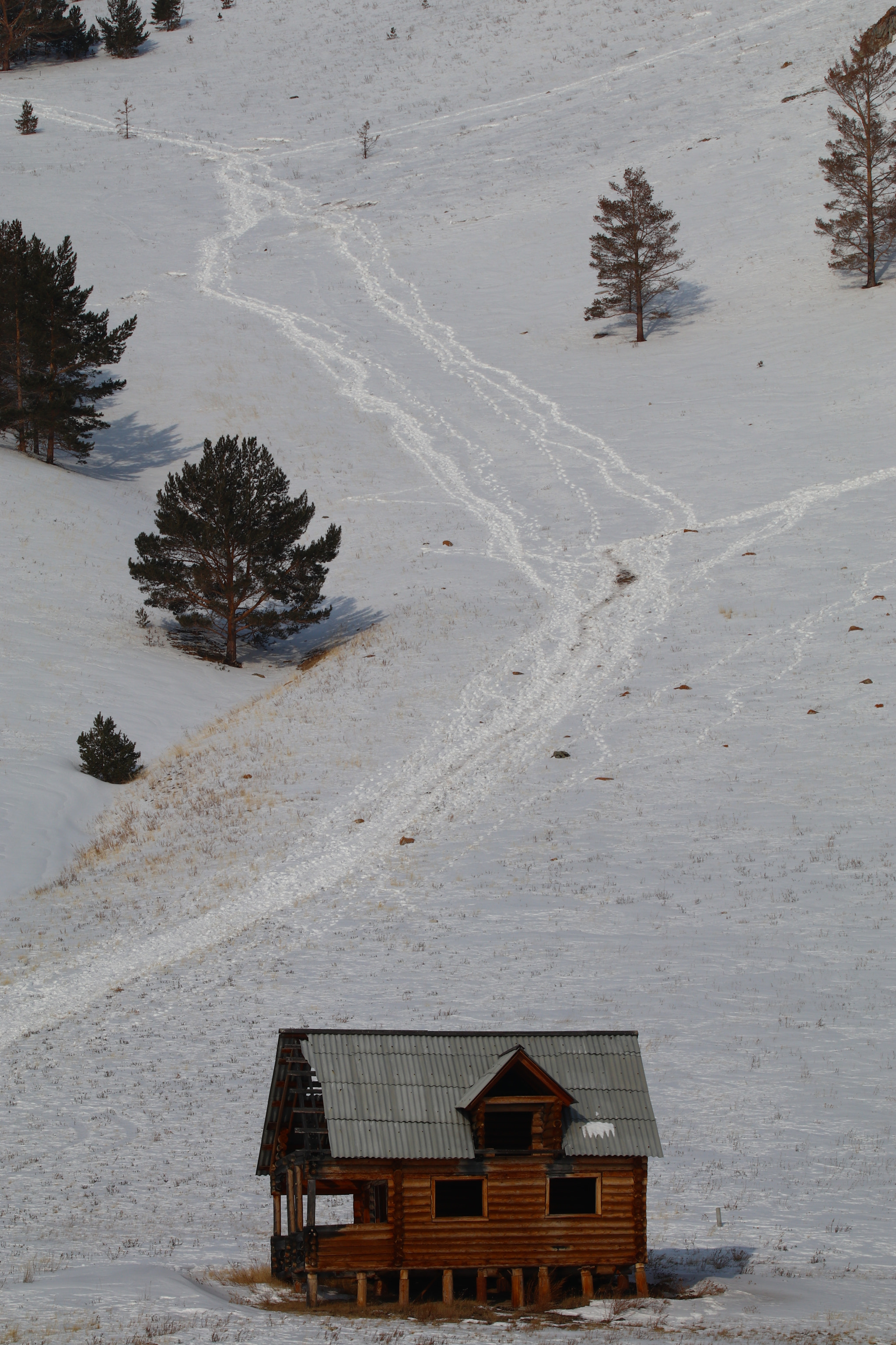 Tamron SP 150-600mm F5-6.3 Di VC USD sample photo. 雪衬衣的搭配снег рубашки словосочетания photography