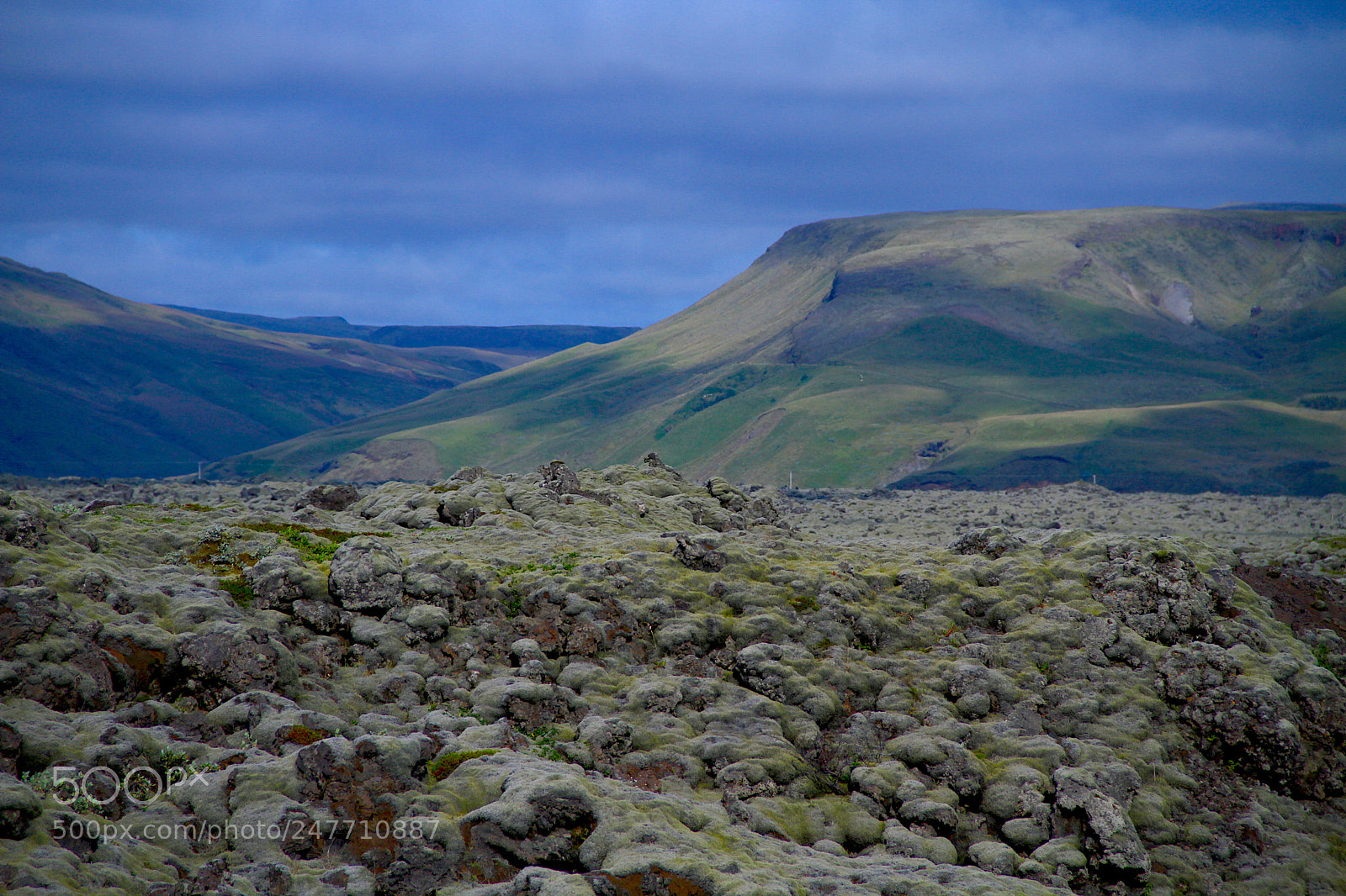 Canon EOS 7D sample photo. Moss covered lava at photography