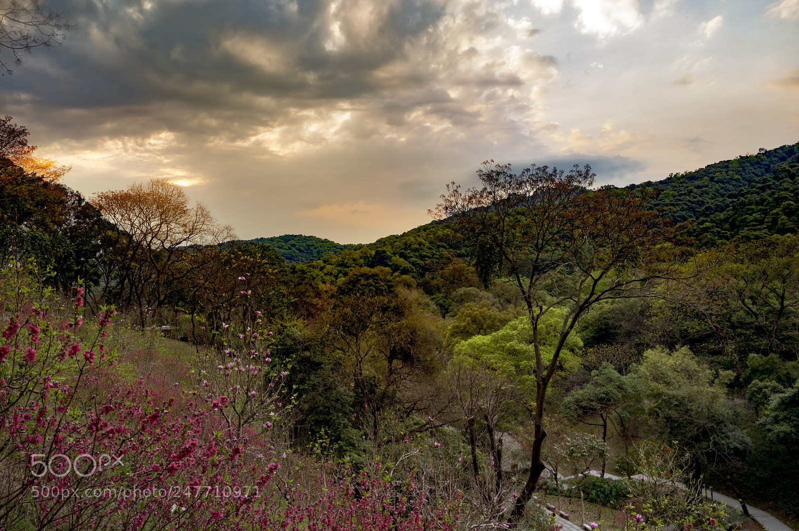 Nikon Df sample photo. Anotherday photography