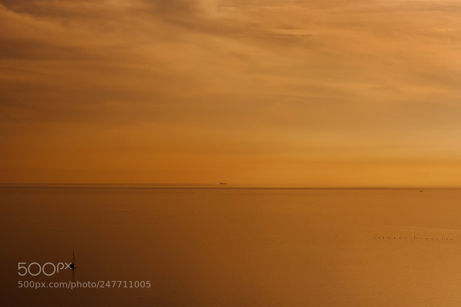 Nikon D700 sample photo. Trieste photography