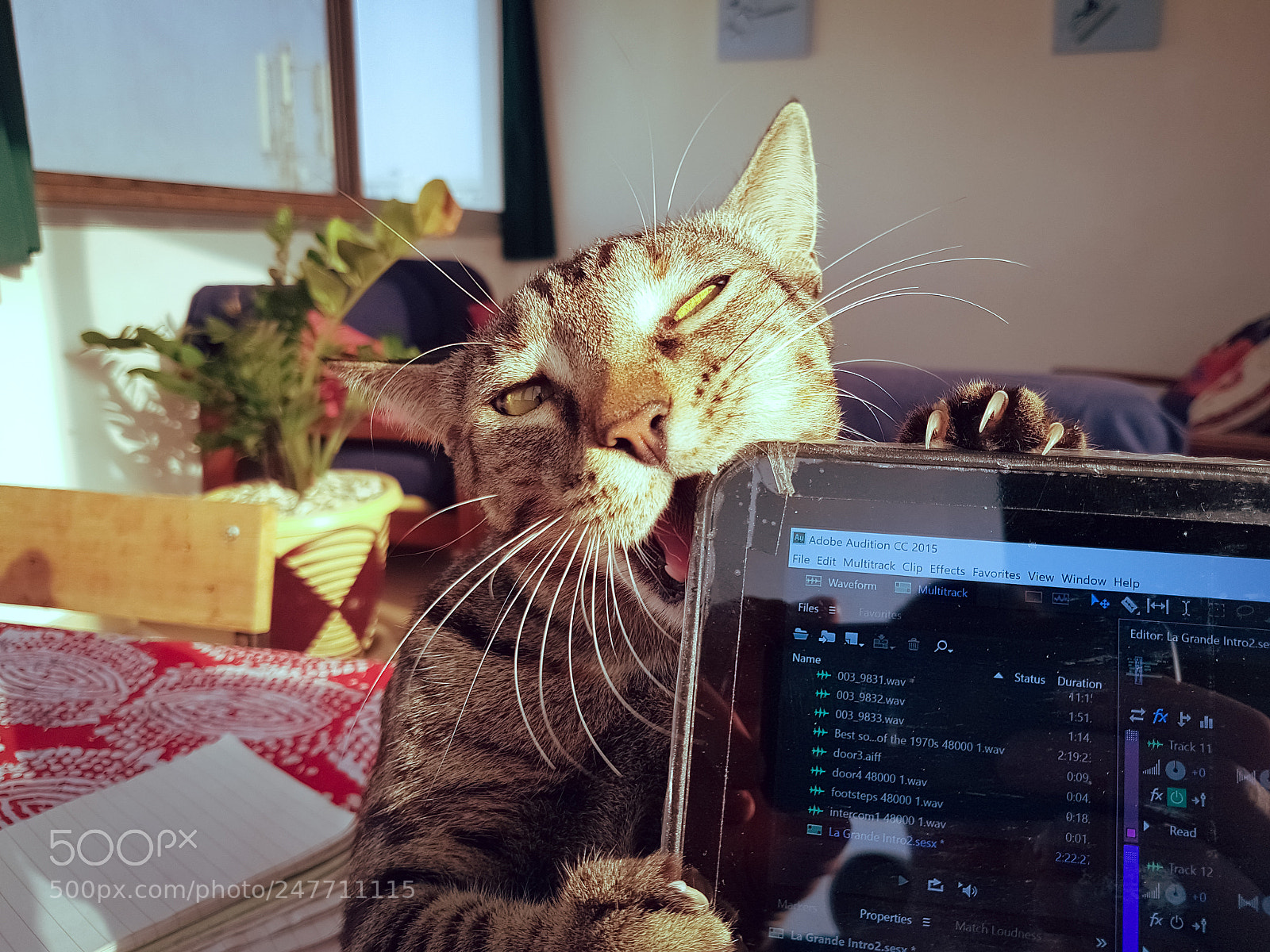 Samsung Galaxy S7 sample photo. 20180220_174442.jpg photography