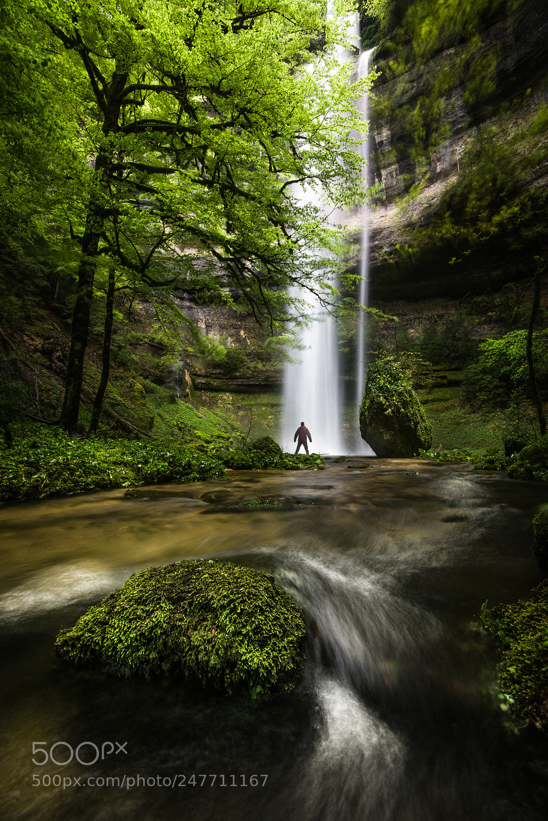Nikon D800 sample photo. In awe photography