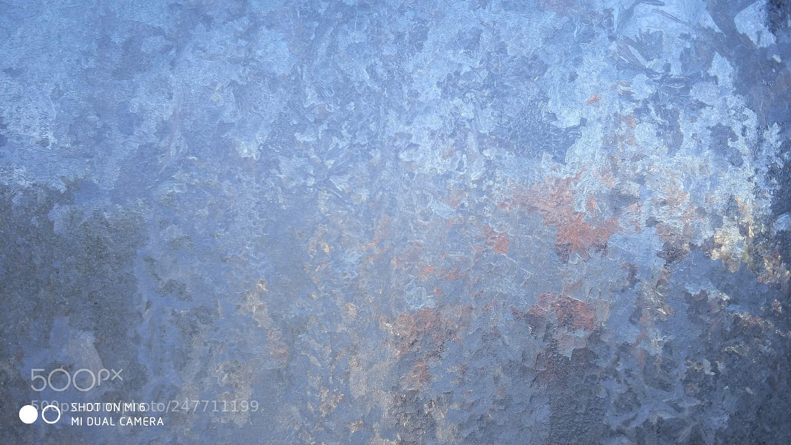 Xiaomi MI6 sample photo. Frozen window photography