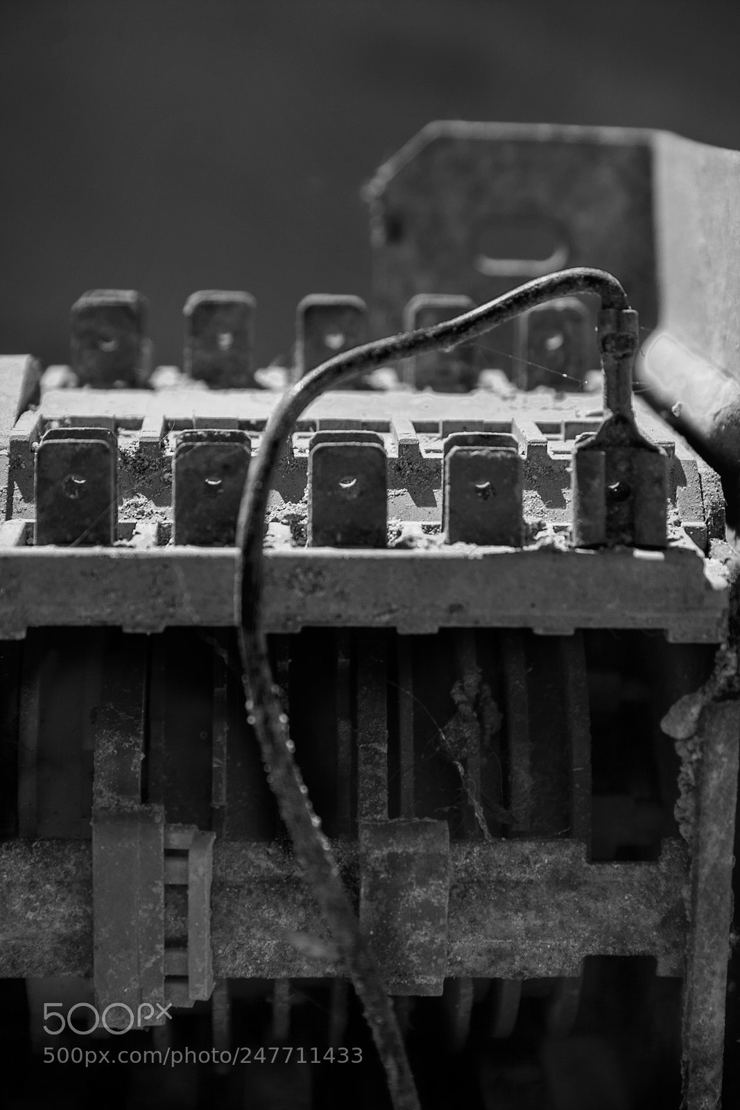 Canon EOS 300D (EOS Digital Rebel / EOS Kiss Digital) sample photo. Ghost in the machine photography