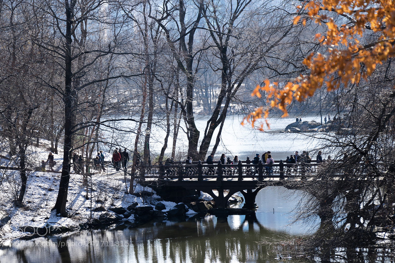 Canon EOS 760D (EOS Rebel T6s / EOS 8000D) sample photo. Central park bridge photography
