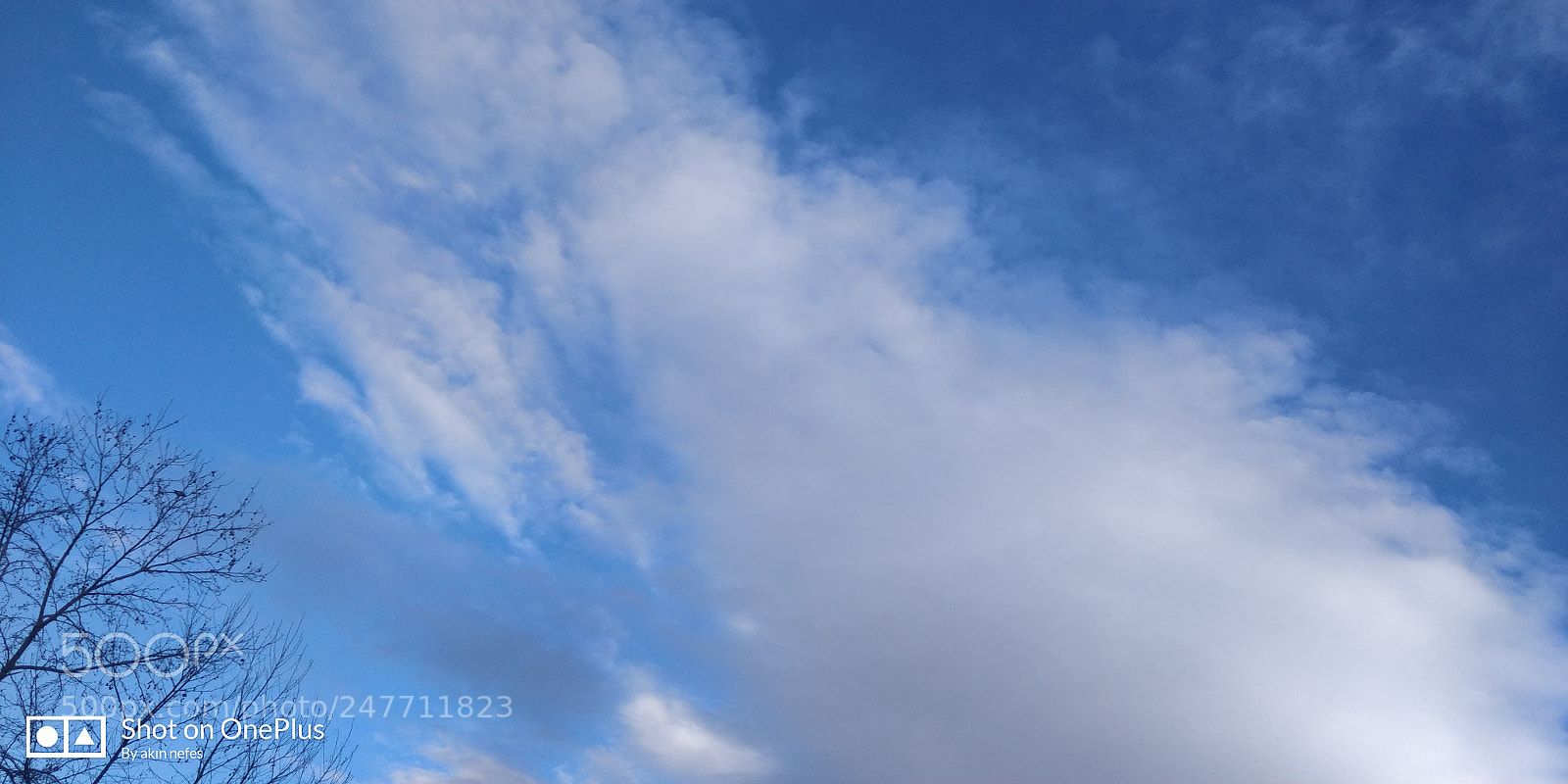 OnePlus 5T sample photo. Untitled photography