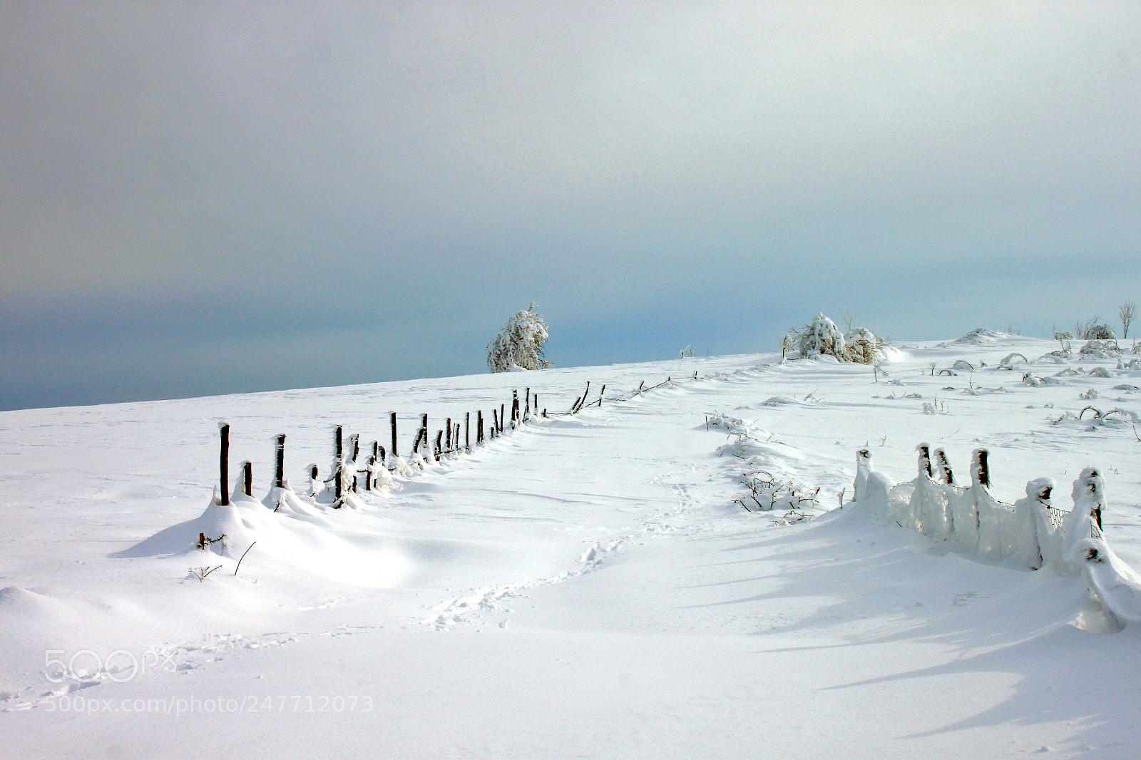 Canon EOS 500D (EOS Rebel T1i / EOS Kiss X3) sample photo. Winter... photography