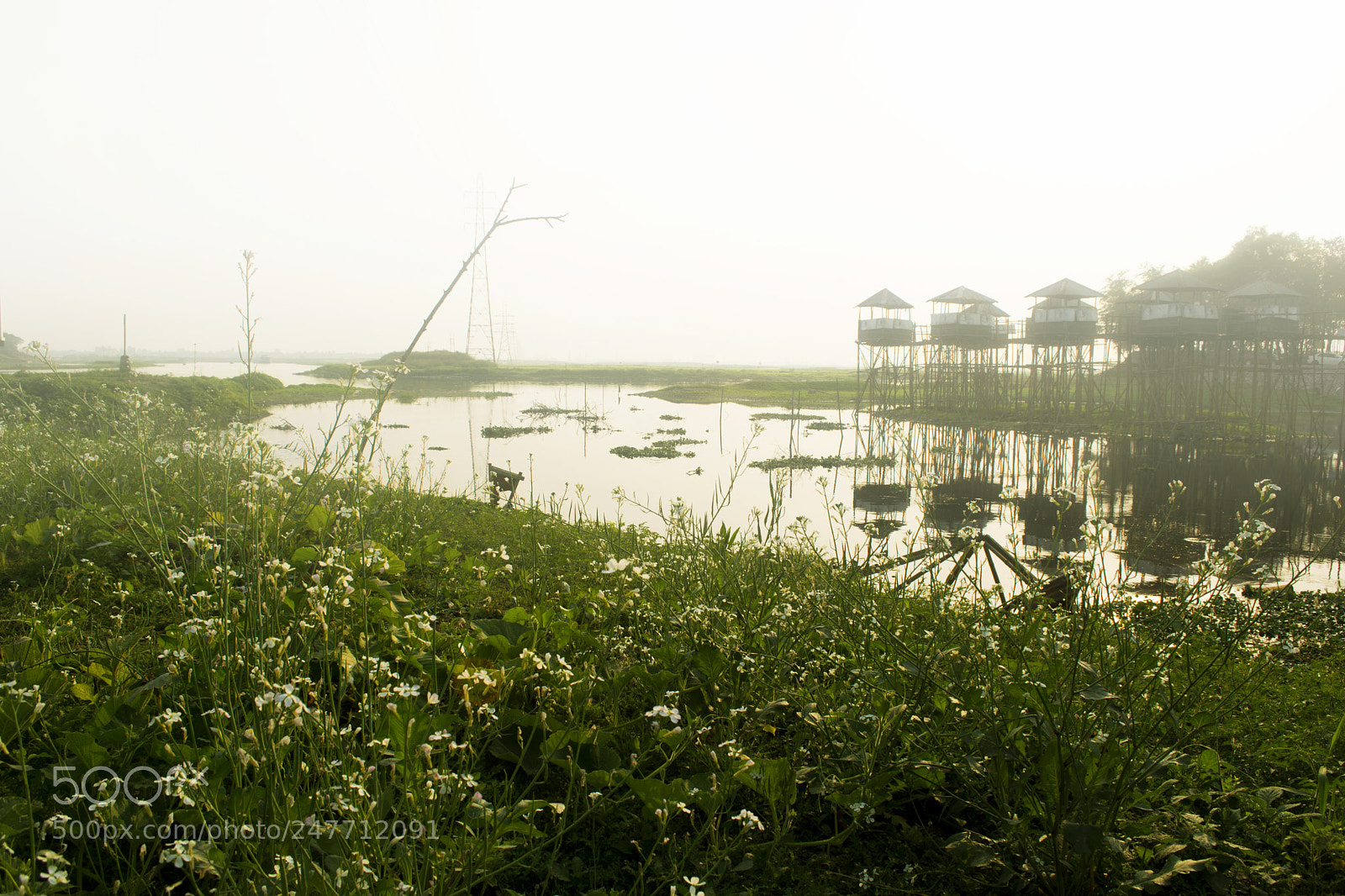 Nikon D5200 sample photo. Foggy morning photography