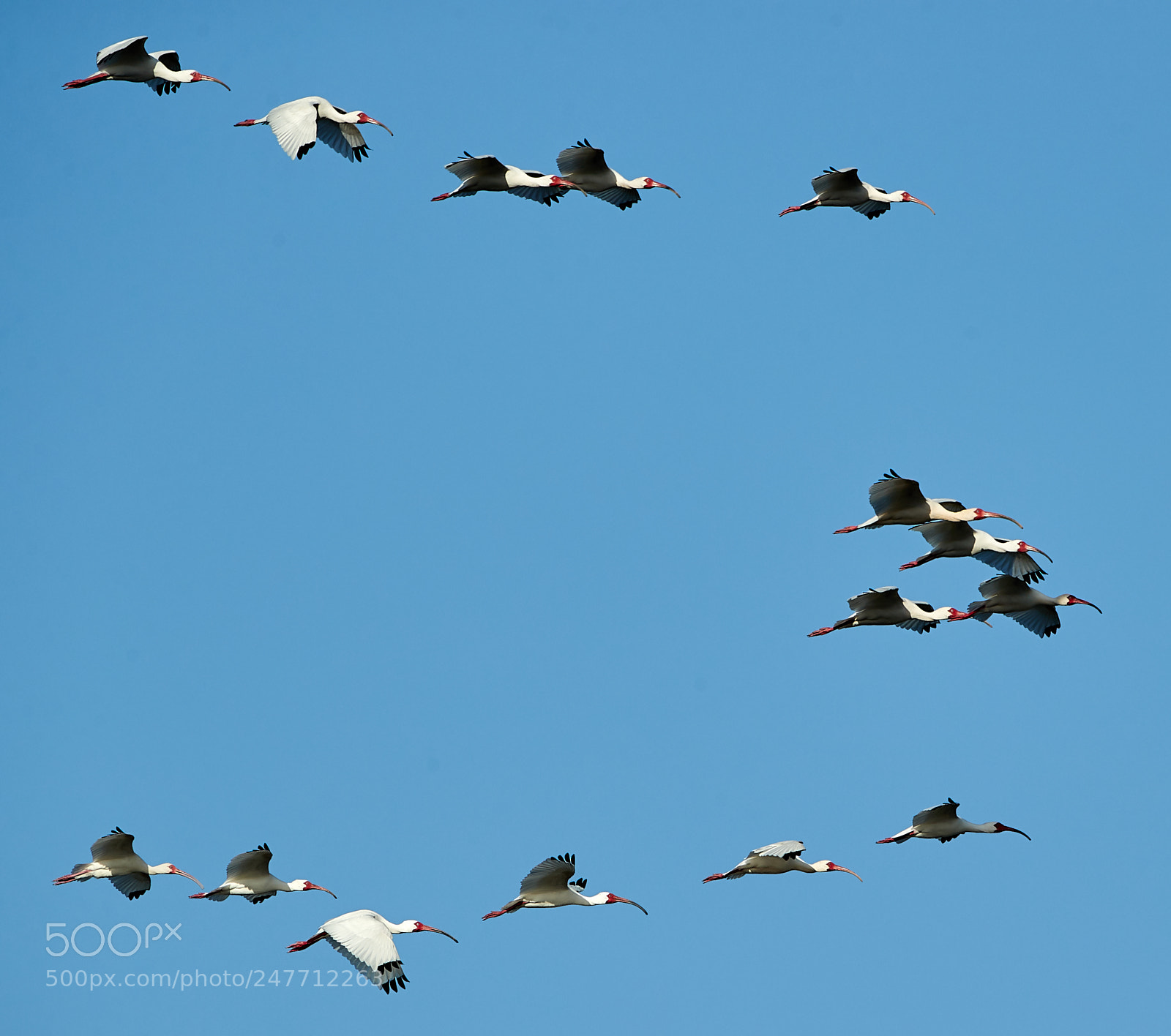 Canon EOS-1D X Mark II sample photo. 02-28-18-0005787.jpg photography