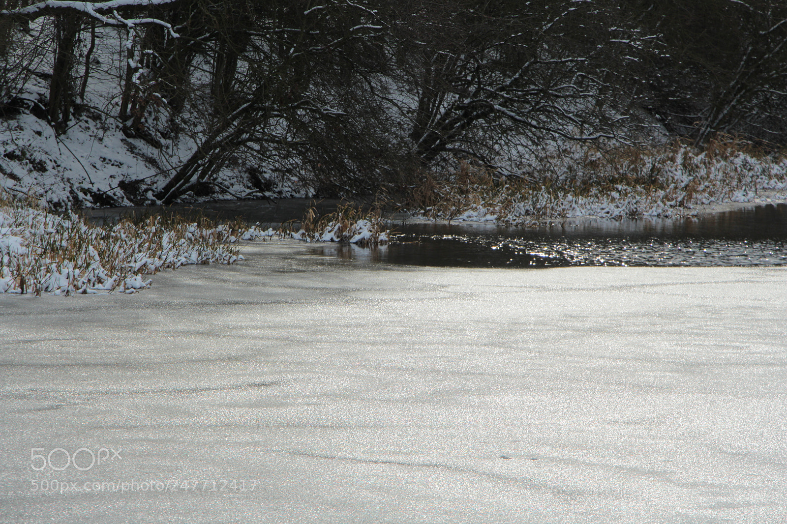 Canon EOS 700D (EOS Rebel T5i / EOS Kiss X7i) sample photo. Img photography
