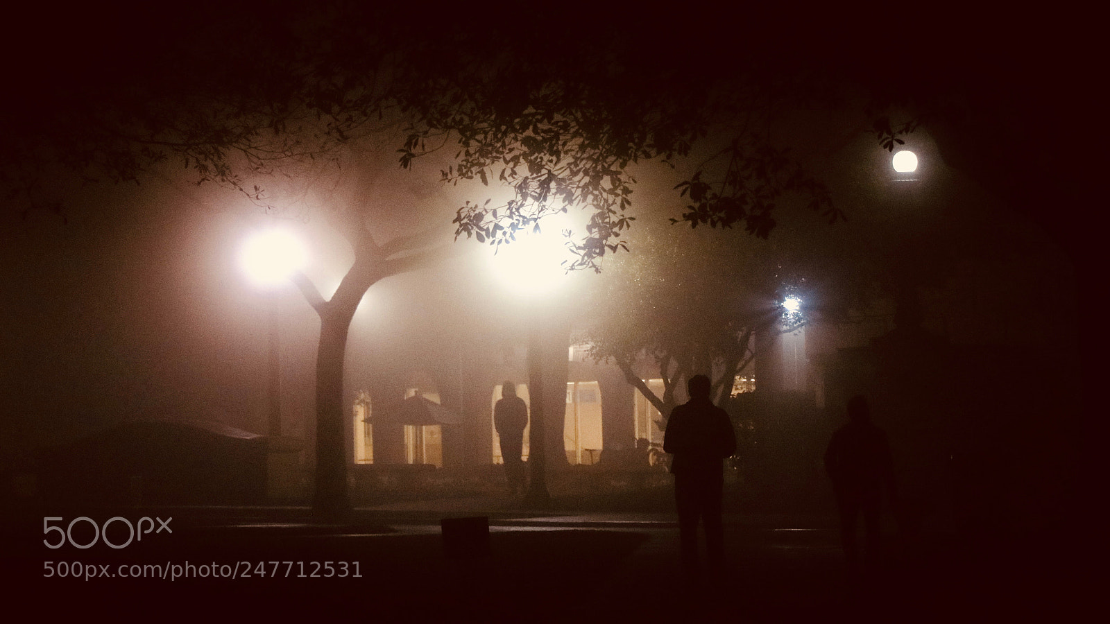 Canon EOS M3 sample photo. Smu in the fog photography