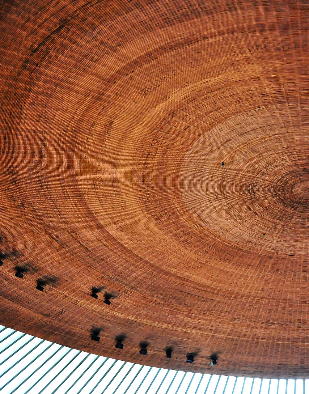 Nikon D5000 sample photo. ...foto nº 2124 photography